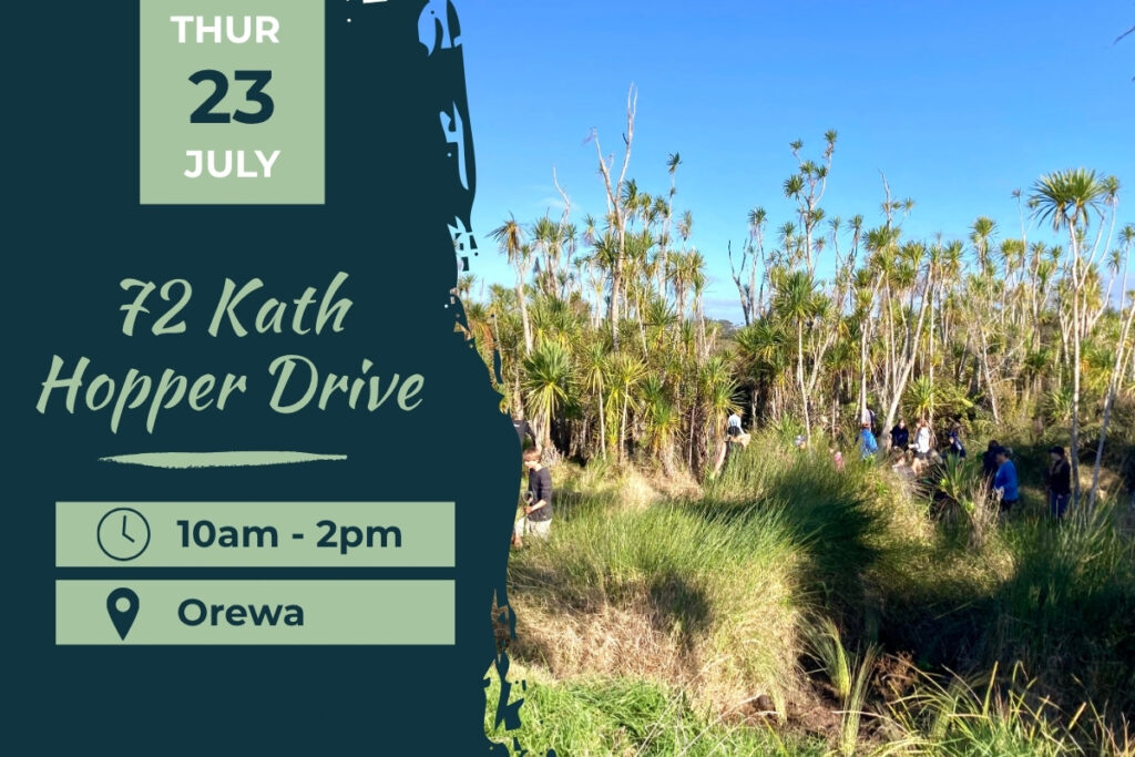 Kath Hopper Orewa Planting Day 23 July