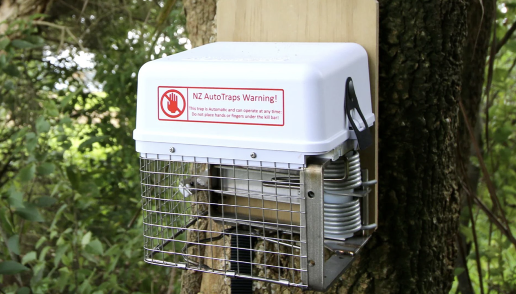 Predator Control Racoons A Big Year for Predator Control: a Look Back at 2024 and What’s Ahead.