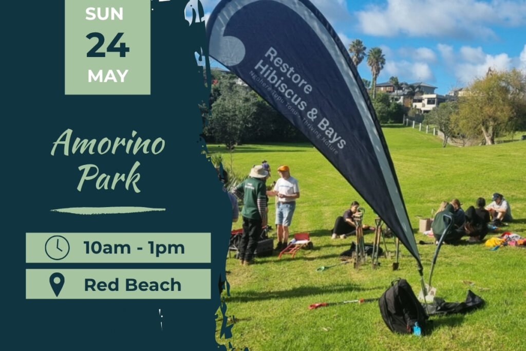 Amorino Park reserve planting day 24 May