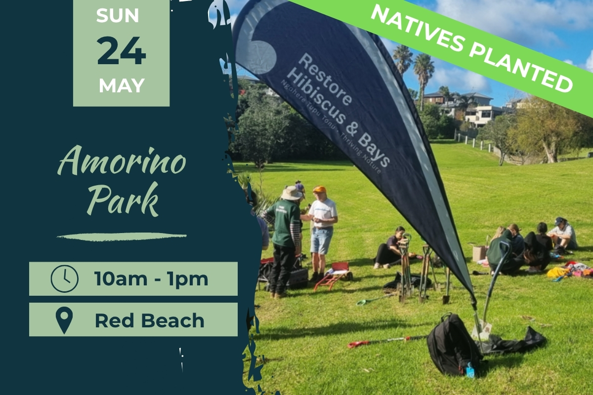 Amorino Park reserve planting day 24 May