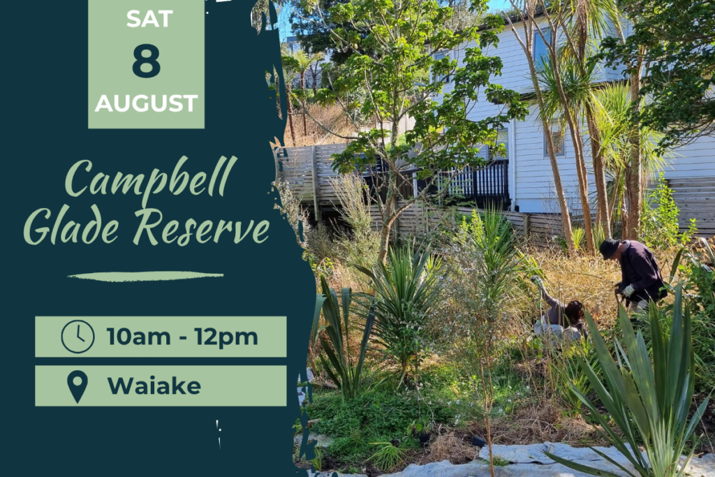 Campbell Glade Reserve, Waiake Planting Day Sat 8 August