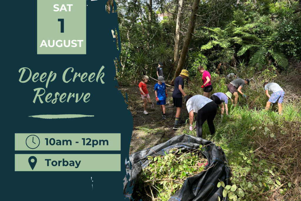 Deep Creek Torbay Planting Day 1 August