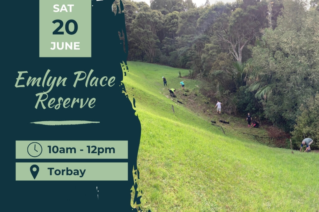 Emlyn place reserve torbay 20 june planting day