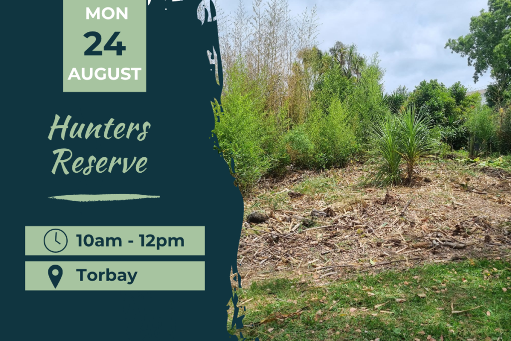 Hunters Reserve Torbay Planting Day 24 August