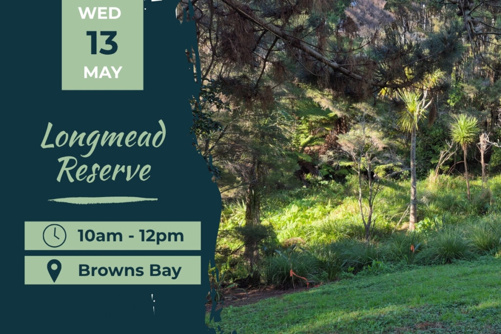 Longmead Reserve, Browns Bay, Planting 13 May