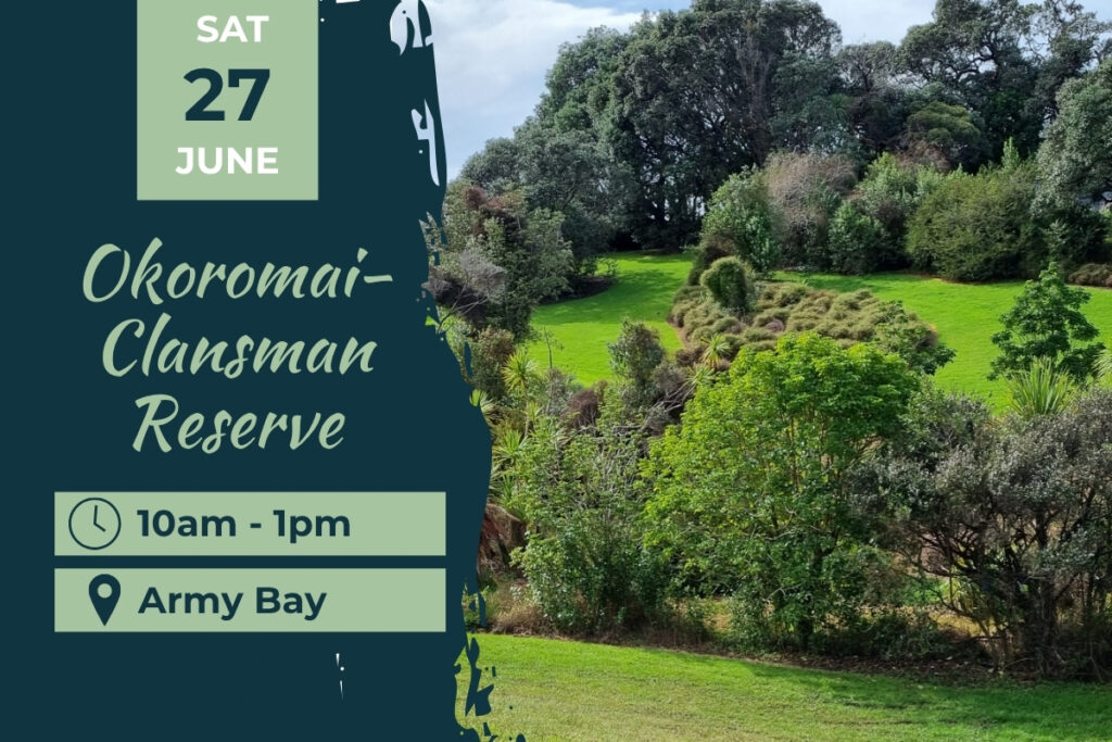 Okoromai Clansman Army Bay Planting Day 27 June