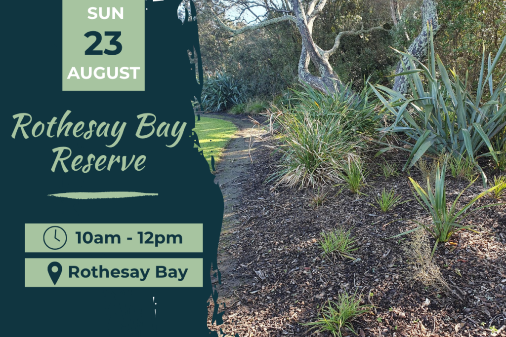Rothesay Bay Reserve Planting Day 23 August