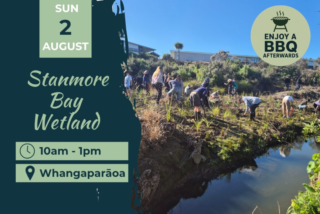 Stanmore Bay Wetland Planting Day Whangaparaoa 2 August