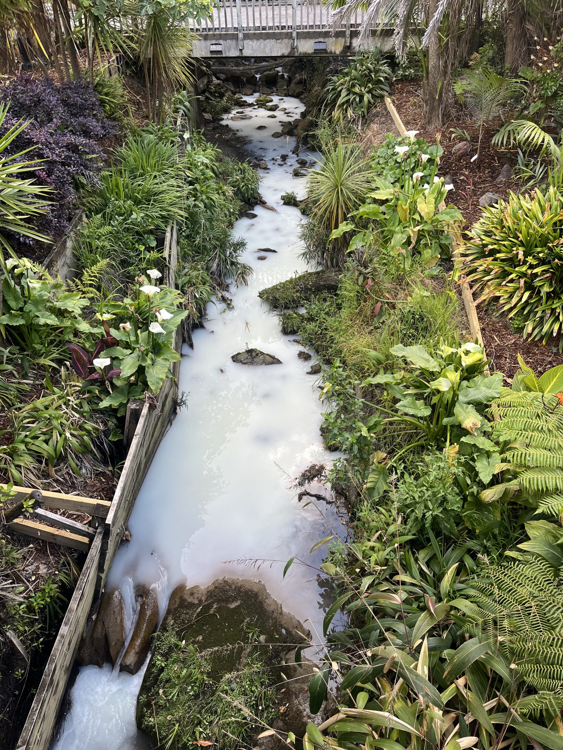 Paint contamination in a local East Coast Bays stream