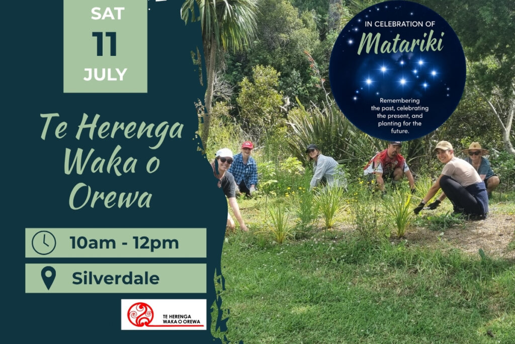 Te Herenga Waka o Orewa Marae Planting Day 11 July Matariki