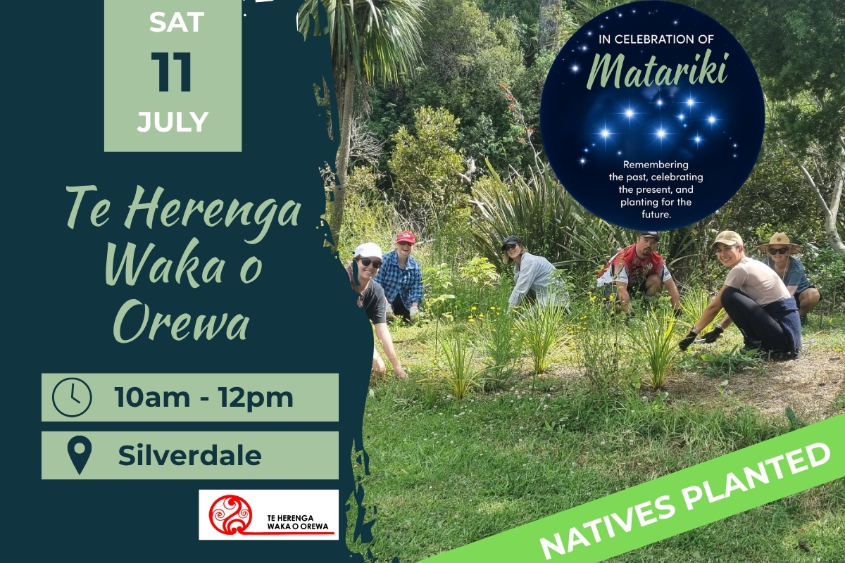 Te Herenga Waka o Orewa Marae Planting Day 11 July Matariki