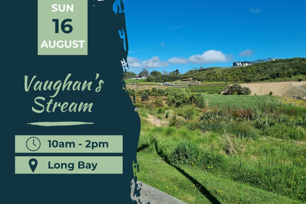 Vaughans Stream Long Bay Planting Day Sun 16 August