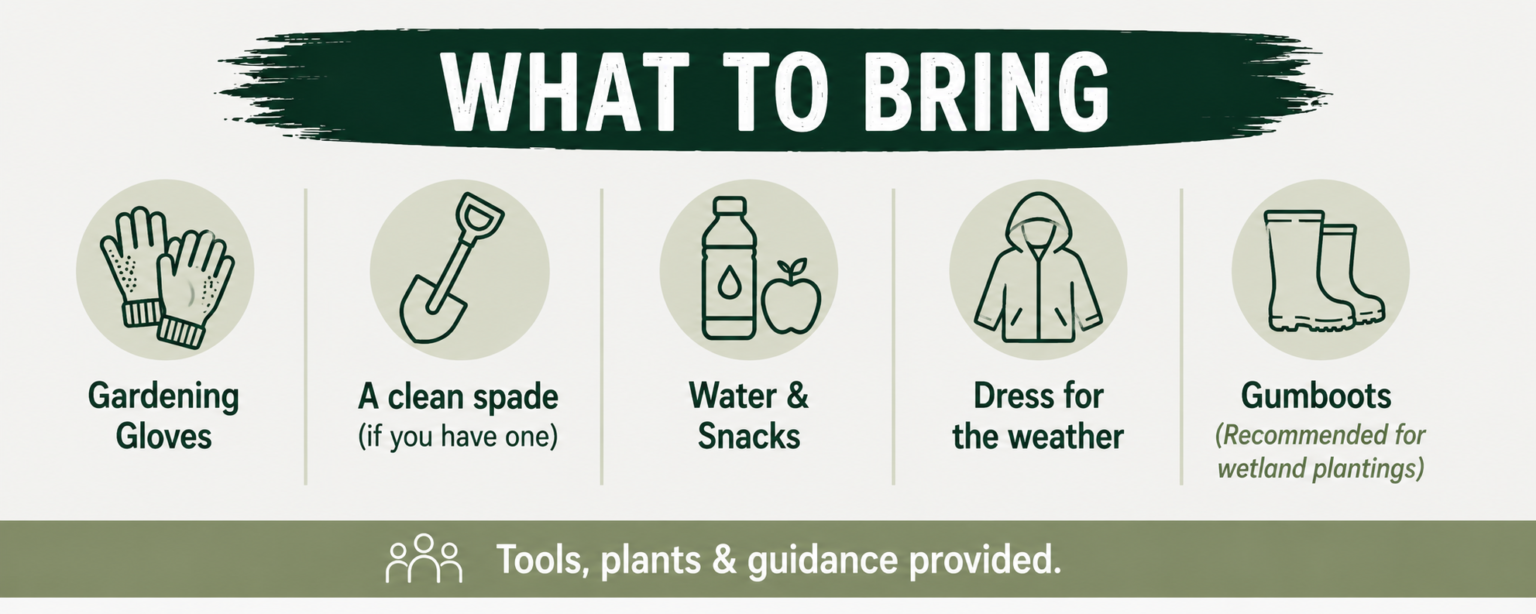 What to bring to our planting days with Restore Hibiscus & Bays