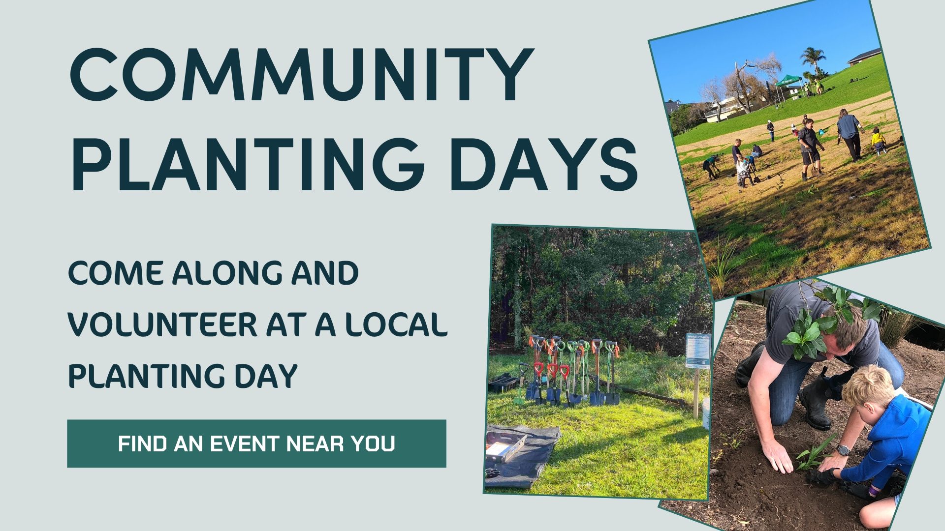 Community Planting Days across East Coast Bays and Hibiscus Coast