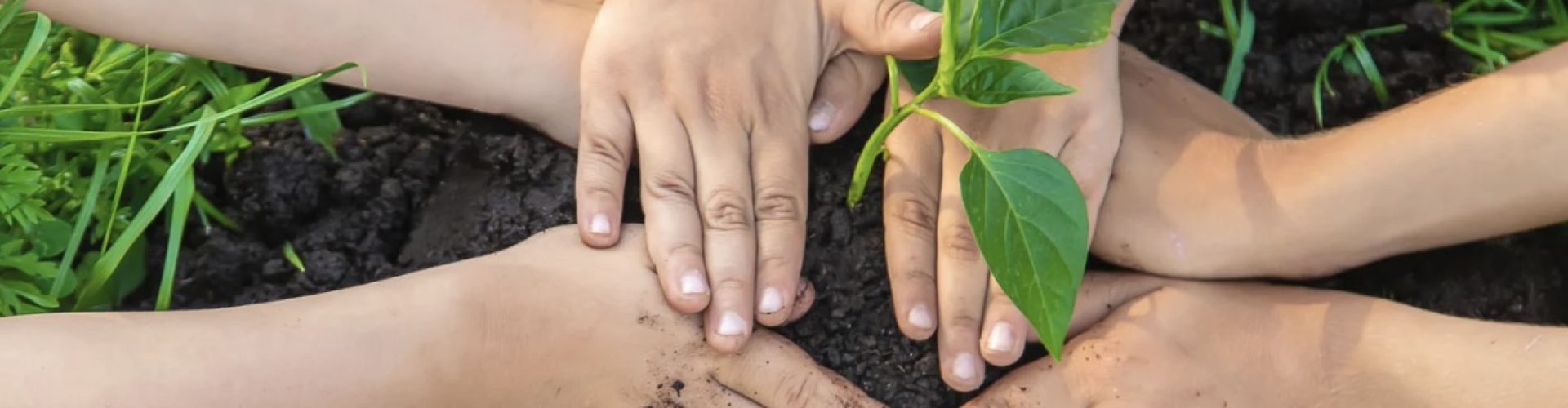 generic planting day 1